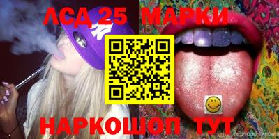 гашик Кимры