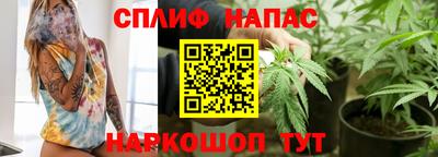 гашик Кимры