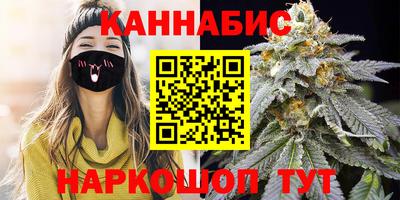 мет Кингисепп