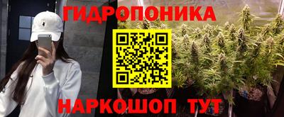 мет Кингисепп