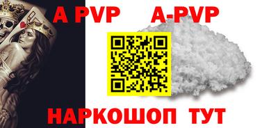мет Кингисепп