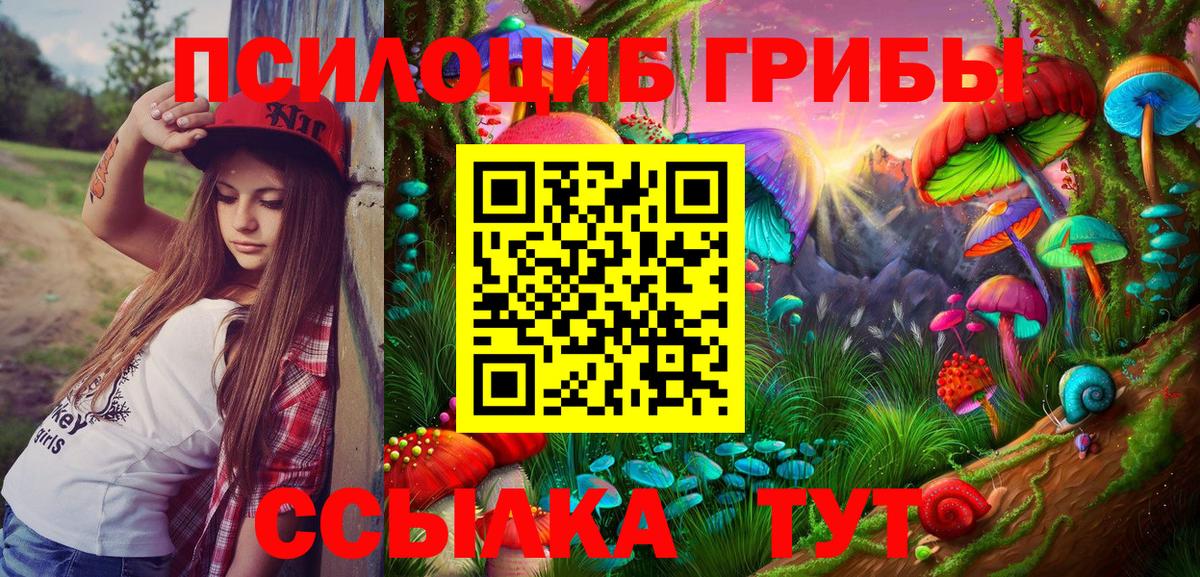 Кумертау  Галлюциногенные грибы MAGIC MUSHROOMS  закладки  Вход с VPN 